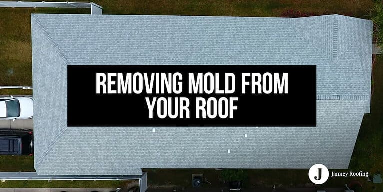 removing mold from your roof
