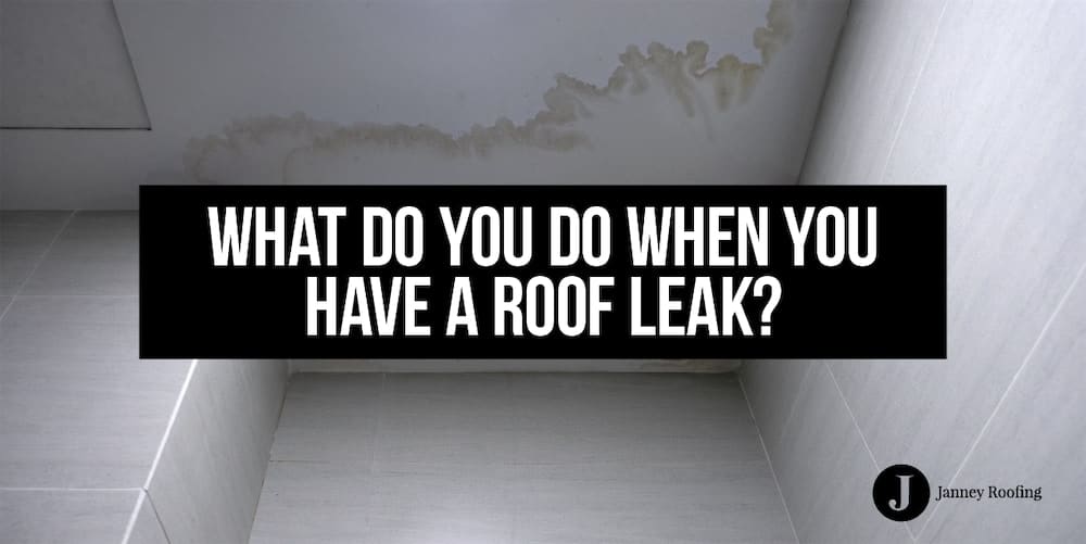 what do you do when you have a roof leak