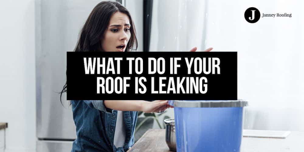 what to do if your roof is leaking